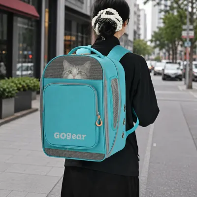 Person carrying a cat inside a teal mesh pet backpack carrier while walking outdoors