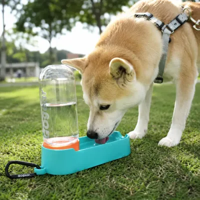 Shiba Inu drinking water from a portable dog water bottle with an attached drinking bowl in a park