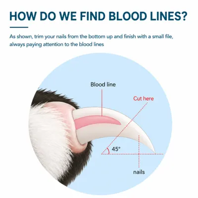 Pet nail trimming diagram showing the blood line and recommended 45-degree cutting position