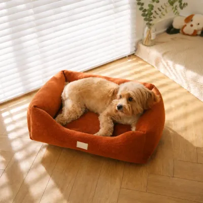 Small Dog Resting in a Brown Corduroy Dog Bed Small dog relaxing in a brown corduroy bolster bed in a bright and cozy home interior