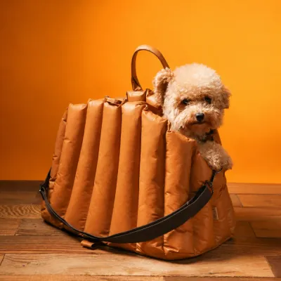 Small Dog Traveling in Brown Carrier Bag Small curly-haired dog sitting comfortably inside a brown padded pet carrier bag with shoulder strap