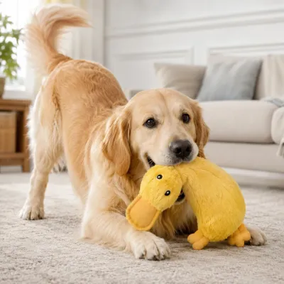 Golden retriever playing with a yellow duck plush dog toy on a living room carpet