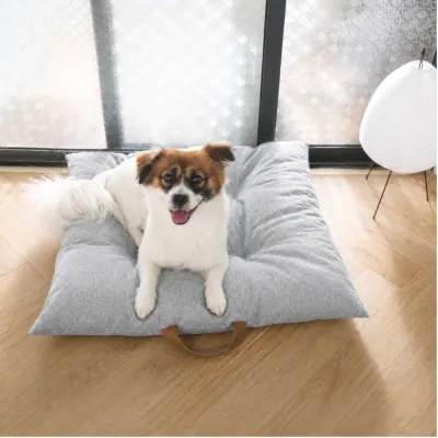 Small Dog Resting on a Soft Gray Dog Mat Small dog resting on a light gray padded dog mat in a bright indoor living space
