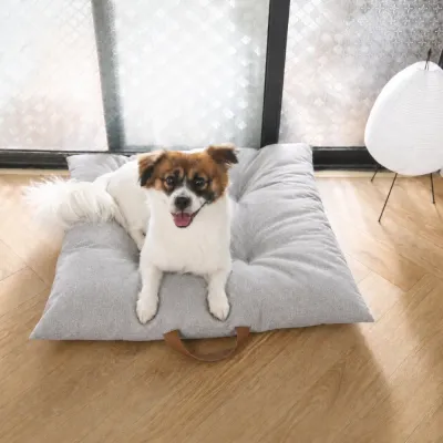 Small Dog Resting on Gray Portable Dog Mat Small dog resting on a gray tufted dog mat with a brown carry handle in a bright modern living room.