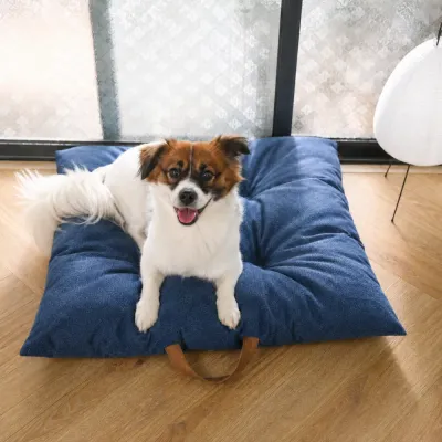 Small dog resting comfortably on a soft blue cushioned dog mat with a brown carry handle.