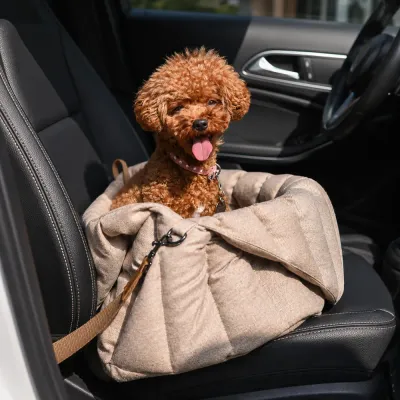 Small brown poodle sitting in a padded beige dog carrier on a car passenger seat.