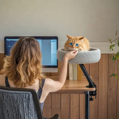 Orange cat resting in a gray clamp-on desk cat bed beside a woman working at a computer