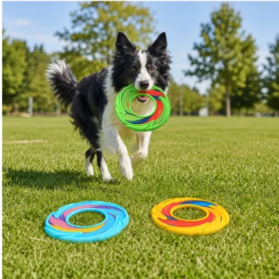 Border Collie carrying a green hollow TPR dog flying disc while playing outdoors