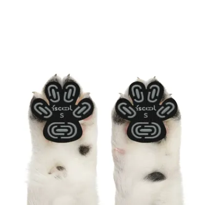 Close-up of black anti-slip dog paw traction pads attached to a dog’s toe pads