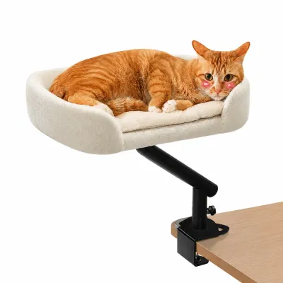 Cat Resting in a Desk-Mounted Cat Bed Orange tabby cat resting in a white plush cat bed securely clamped to the edge of a wooden desk