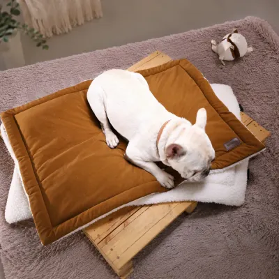 White French bulldog resting on the brown side of a portable double-sided dog mat indoors