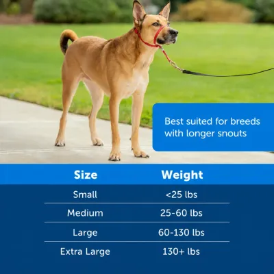 Large dog wearing a red no pull head halter outdoors designed for dogs with longer snouts