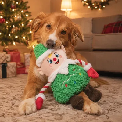 Golden dog playing with green Christmas tree elf plush squeaky toy in holiday living room