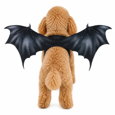 Halloween Dog Bat Wings Costume Back View Dog wearing black bat wings Halloween costume with adjustable elastic straps