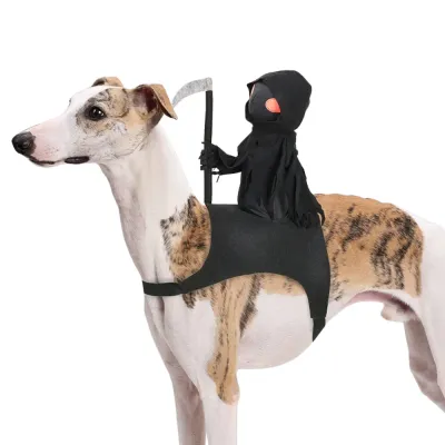 Grim Reaper Halloween Costume for Dogs Dog wearing adjustable black Grim Reaper Halloween costume with rider and scythe on white background