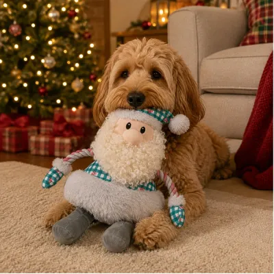 Dog Playing with Christmas Santa Plush Toy Dog playing with a Christmas Santa squeaky plush toy beside a decorated Christmas tree in a cozy living room