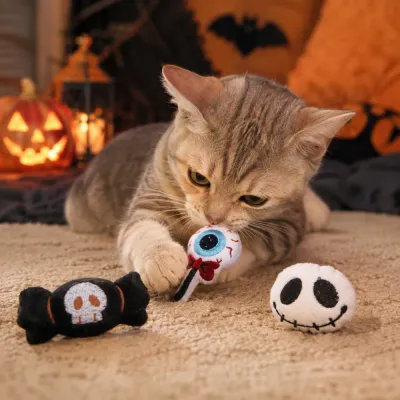 Cat Playing with Halloween Plush Cat Toy Set Cat playing with eyeball plush toy from a 3 piece Halloween cat toy set in a Halloween room