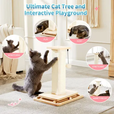 Gray cat playing with multifunction cat scratching post for scratching stretching hunting and interactive play