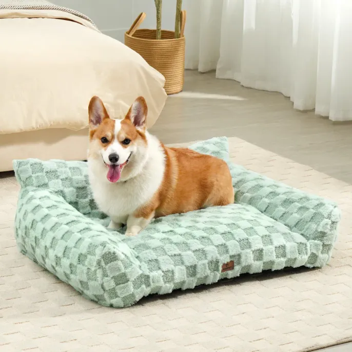Green Plush Dog Sofa Bed for Large Dogs Corgi resting on green plush sofa style dog bed in a bright bedroom