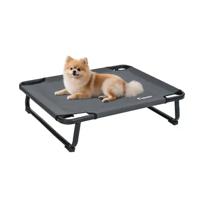 Small dog resting on a grey elevated dog bed with breathable mesh and sturdy metal frame