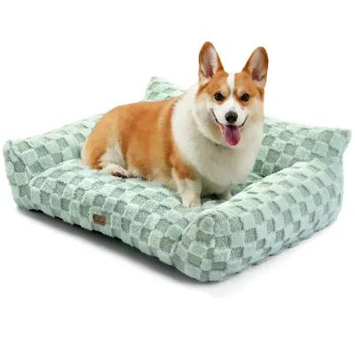 Corgi sitting on green large plush dog sofa bed with raised supportive sides