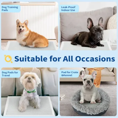 Disposable puppy training pads for indoor use travel crates and kennels