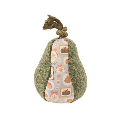 Autumn avocado dog toy with green textured sides, pumpkin print fabric and durable rope knot isolated on white.