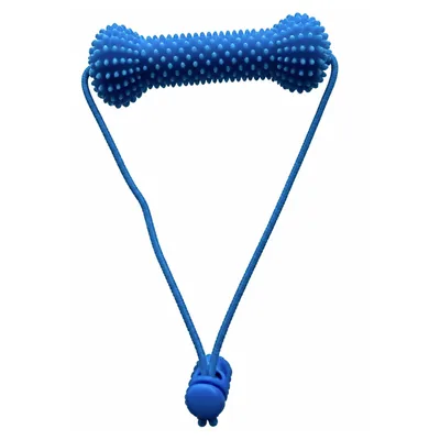 Blue dog teeth cleaning chew toy with textured PVC bone and long rope handle on white background