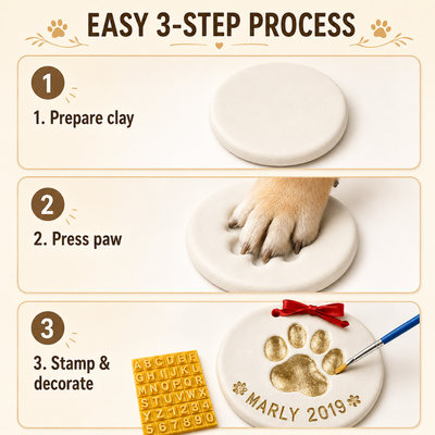 How to Make a Pet Paw Print Keepsake in 3 Steps Three step process showing how to prepare clay press a dog paw and decorate a personalized paw print keepsake