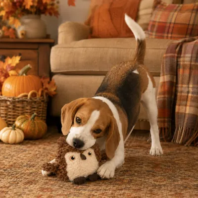 Dog Playing with Autumn Owl Plush Squeaky Toy Beagle playing with a brown autumn owl plush dog toy in a cozy fall-themed living room.