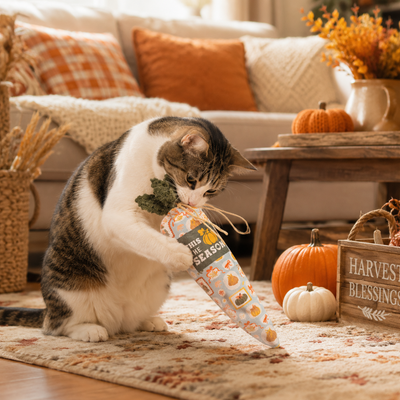 Cat Playing with Autumn Harvest Toy Tabby cat playing with a long autumn harvest cat toy in a cozy living room decorated with pumpkins and fall accents