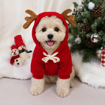 Christmas Reindeer Dog Hoodie with Antlers Small dog wearing a red reindeer Christmas hoodie with plush antlers in a festive holiday setting