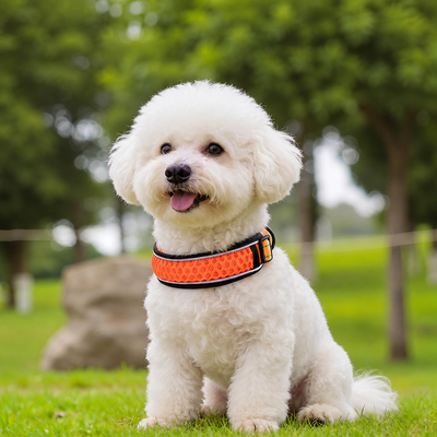 Breathable Reflective Dog Collar for Daily Walks Small white dog wearing an orange breathable reflective dog collar outdoors in a park