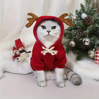 Red Christmas Reindeer Hoodie for Cats Cat wearing a red Christmas reindeer hoodie with brown antlers beside a decorated Christmas tree