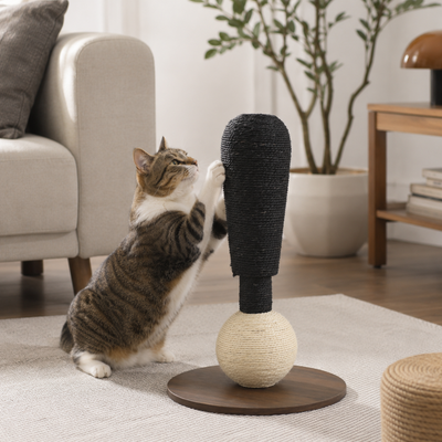 Indoor Cat Using Sisal Scratching Post Tabby cat scratching a freestanding sisal cat scratching post in a modern living room