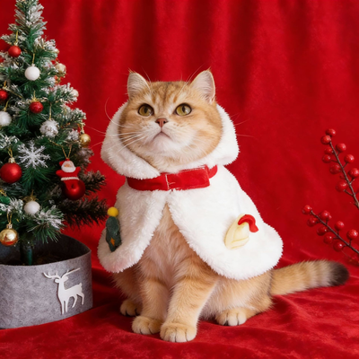 Christmas Cat Snowman Cape Holiday Costume Orange cat wearing a white snowman Christmas cape beside a decorated Christmas tree