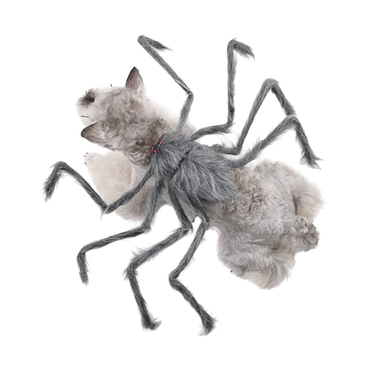 Grey Halloween Spider Costume for Dogs Small white dog wearing a grey furry spider Halloween costume with long spider legs on white background