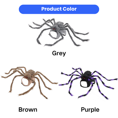 Halloween Spider Pet Costume Color Options Halloween spider pet costume available in grey, brown and purple color options