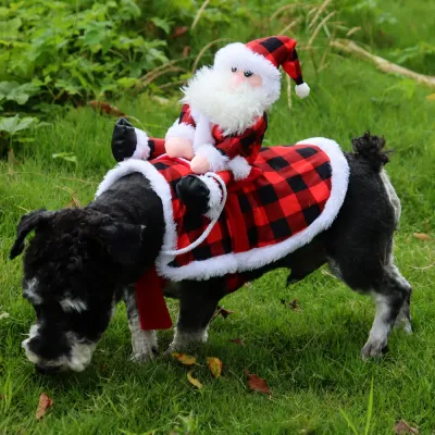 Dog Wearing Christmas Santa Rider Costume Outdoors Black dog wearing red plaid Santa rider Christmas costume outdoors on grass