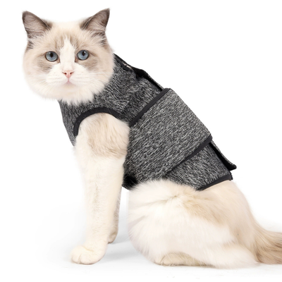 Adjustable Calming Vest for Cats Cat wearing an adjustable grey calming vest with wide body wrap and secure fit