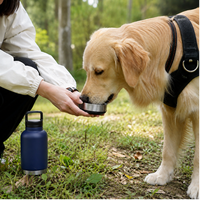 Portable Dog Water Bottle for Outdoor Travel Golden Retriever drinking from portable dog water bottle bowl during an outdoor walk