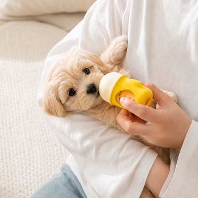 Puppy Feeding Bottle for Newborn Dogs Puppy drinking from a soft anti-choking nursing bottle designed for controlled pet feeding