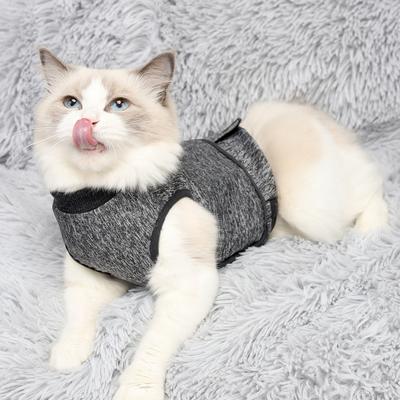 Cat Wearing Calming Anxiety Relief Vest White cat resting comfortably while wearing a grey calming anxiety relief vest