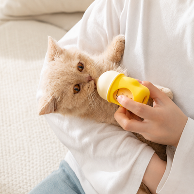 Kitten Feeding Bottle for Newborn Cats Kitten drinking milk from an anti-choking pet feeding bottle with measurement scale