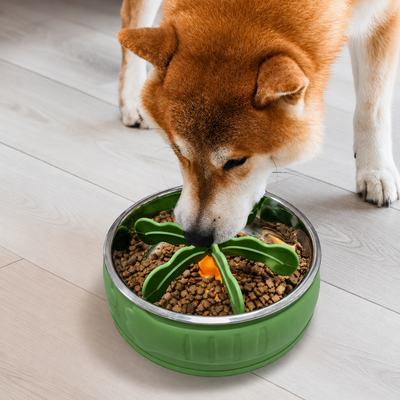 Dog Slow Feeder Insert for Food Bowl Dog eating dry food from a bowl fitted with a palm tree slow feeder insert