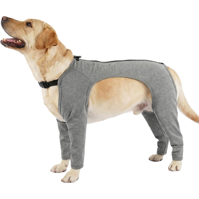 Dog Leg Protection Suit Side View Side view of dog wearing grey leg protection suit with four leg coverage