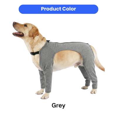 Grey Dog Leg Warmer Protector Color Option Grey color dog leg warmer protector shown on a large dog