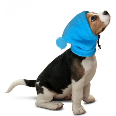 Blue Fleece Dog Snood for Winter Warmth Dog wearing a blue fleece snood covering the head ears and neck
