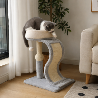 Indoor Cat Using Gray Sisal Scratching Tower in Living Room Gray and white cat resting on a gray sisal scratching tower with plush top bed in a modern living room