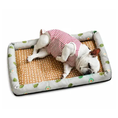 Cooling Dog Bed with Woven Mat Surface for Summer Comfort Cooling dog bed with breathable woven mat surface and soft avocado pattern bolster for small and medium dogs